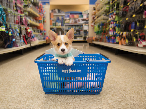 Pet Supply Store «PetSmart», reviews and photos, 421 Commerce Dr, Victor, NY 14564, USA