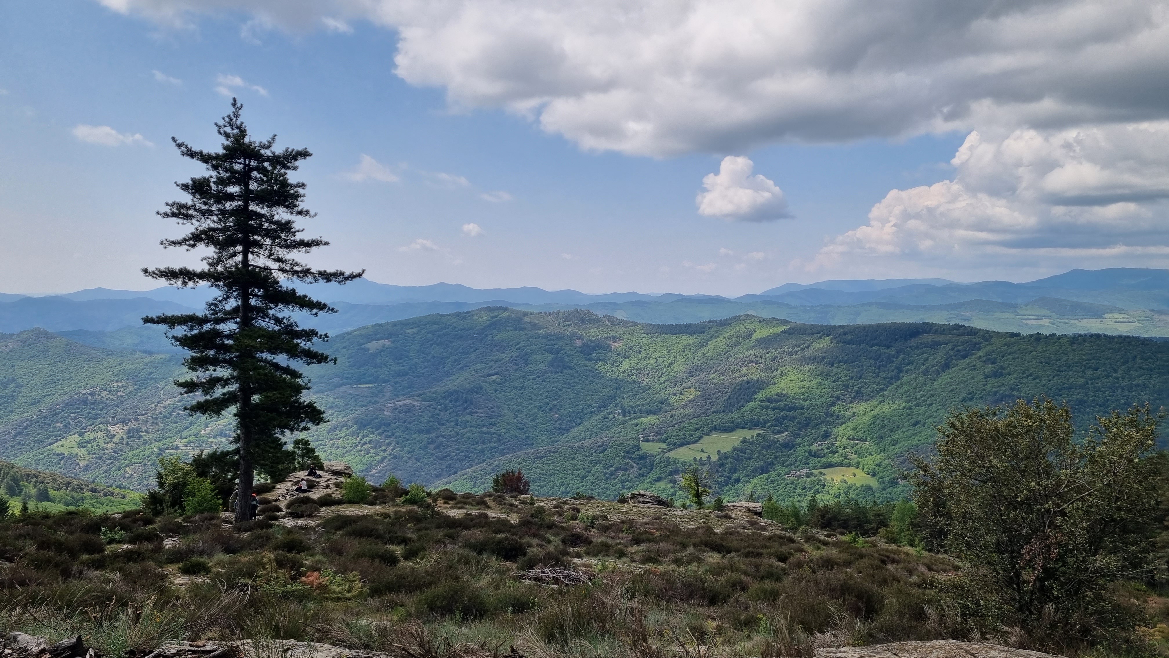 Photo n° 4 de l'avis de Bérangère.U fait le 26/05/2023 à 07:46