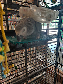 The Birdie Boutique - Photo 5 - Car repair in Durham, NC, Durham