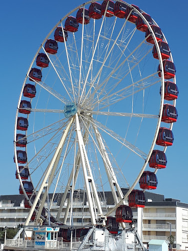 attractions Baie d'Authie Berck