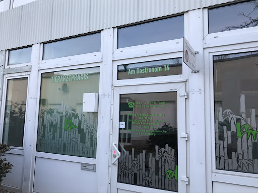 DVM Tierarzt Uwe Peschel unter Halle (Saale), 