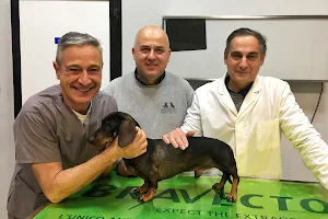 Studio veterinario Santini Clerici Gnocchi image