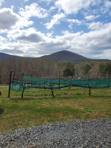 Winery «Sharp Mountain Vineyards», reviews and photos, 110 Rathgeb Trail, Jasper, GA 30143, USA