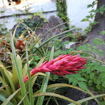 Photo n°1 de l'avis de Manuela.i fait le 27/06/2020 à 20:04 sur le  Hotel Villa Melodie à Forio