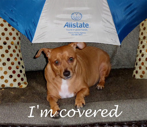Insurance Agency «Allstate Insurance Agent: David Pence», reviews and photos