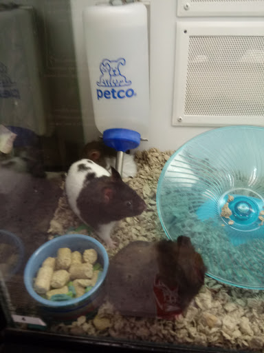 Pet Supply Store «Petco Animal Supplies», reviews and photos, 10235 Indianapolis Blvd, Highland, IN 46322, USA