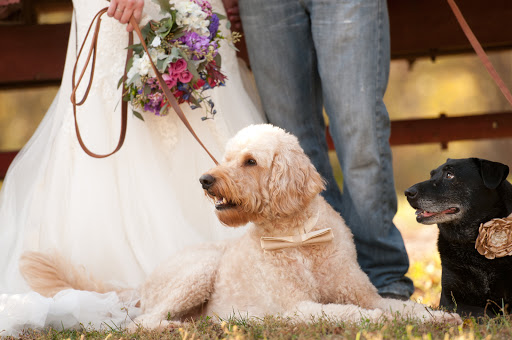 Wedding Planner «Signed Sealed Delivered Events», reviews and photos, 2625 S Belt W, Belleville, IL 62226, USA