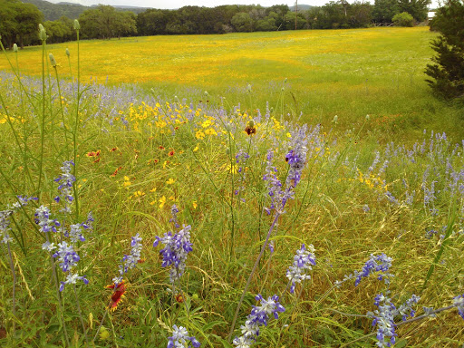 National Park «Overlook Park», reviews and photos, 601 Coe Rd, Canyon Lake, TX 78133, USA