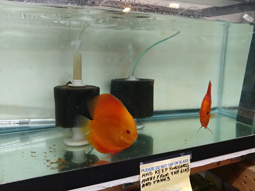 Pet Store «Fintastik», reviews and photos, 210 G St, Antioch, CA 94509, USA