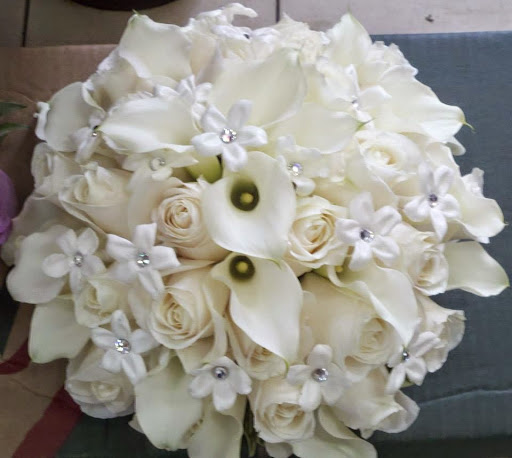 Plant Nursery «A & S Whitestone Nursery», reviews and photos, 2302 Francis Lewis Blvd, Whitestone, NY 11357, USA