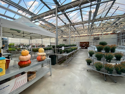 Produce Market «E Draghi & Son Farm Stand», reviews and photos, 86 Main St, South Glastonbury, CT 06073, USA