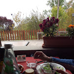 Photo n°1 de l'avis de Teresa.o fait le 21/04/2019 à 13:38 sur le  Il Grottino di Riano à Riano