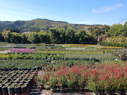 Griggs Nursery image