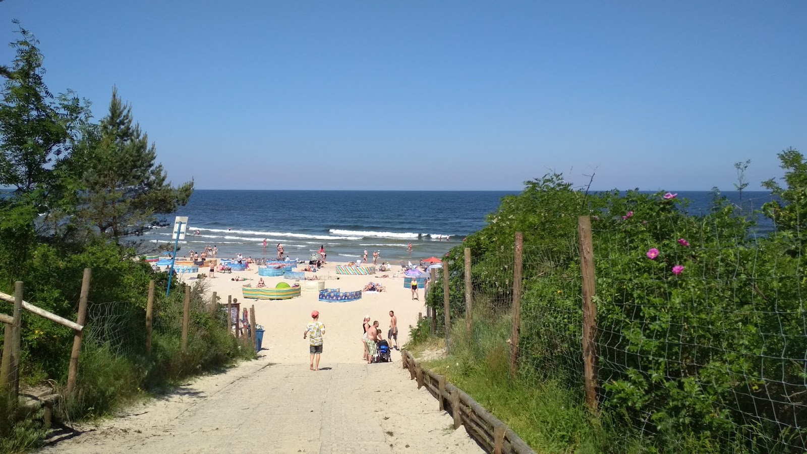 Fotografie cu Stegna Morska beach - locul popular printre cunoscătorii de relaxare