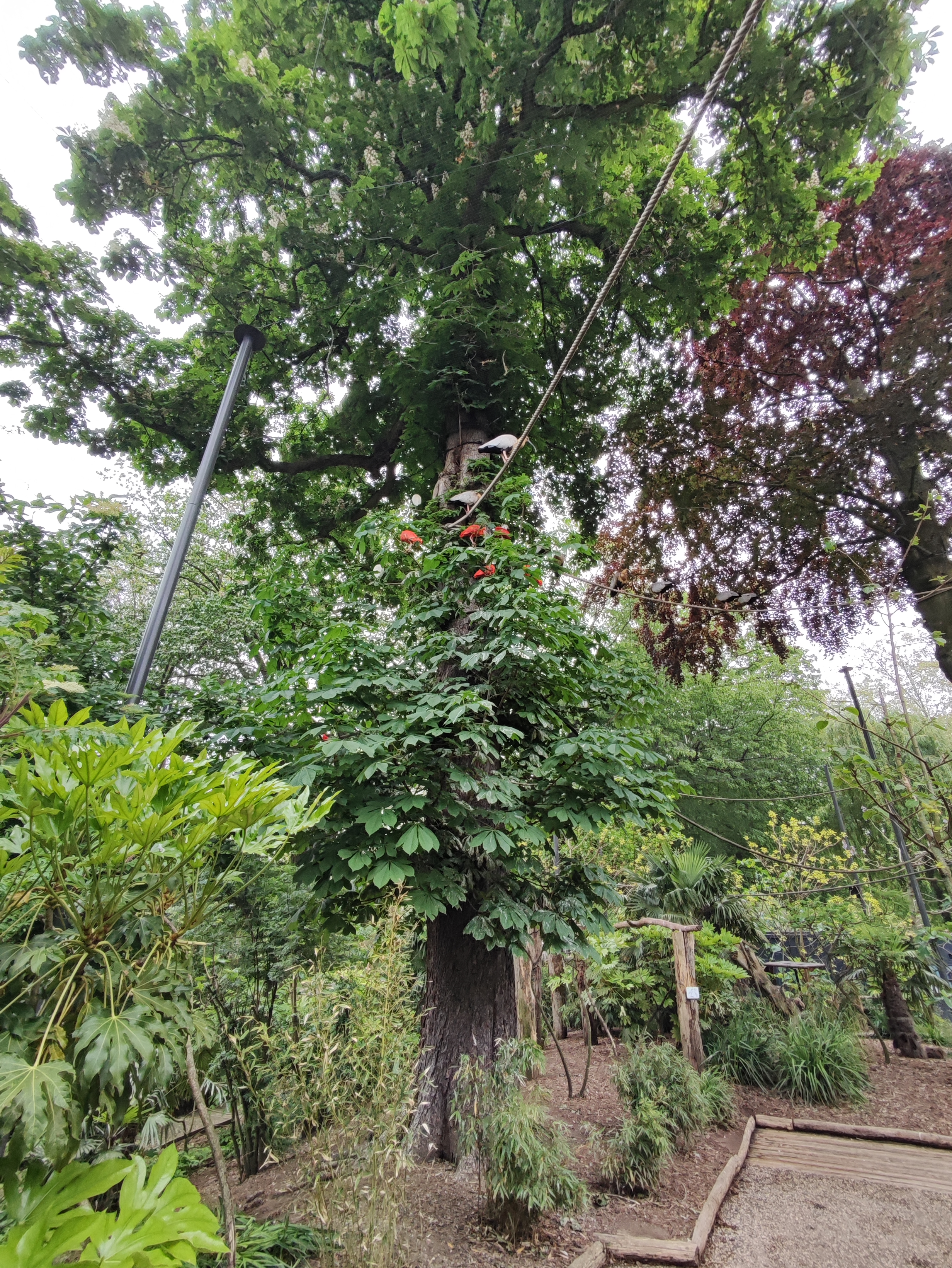 Photo n° 8 de l'avis de Romin. fait le 24/05/2023 à 12:29