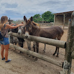 Photo n°6 de l'avis de Francesca.o fait le 05/08/2023 à 22:51 sur le  Agriturismo Fattoria degli Animali La Collinara à Comacchio