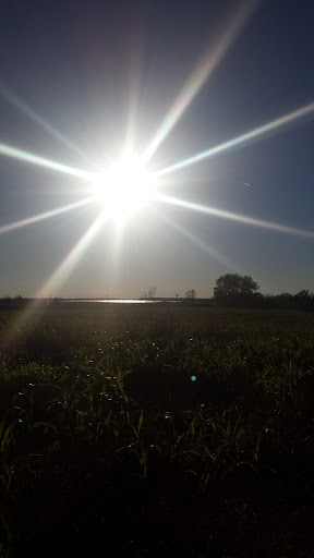 Department Store «Walmart Supercenter», reviews and photos, 150 Commerce Drive, Fairfield, IL 62837, USA