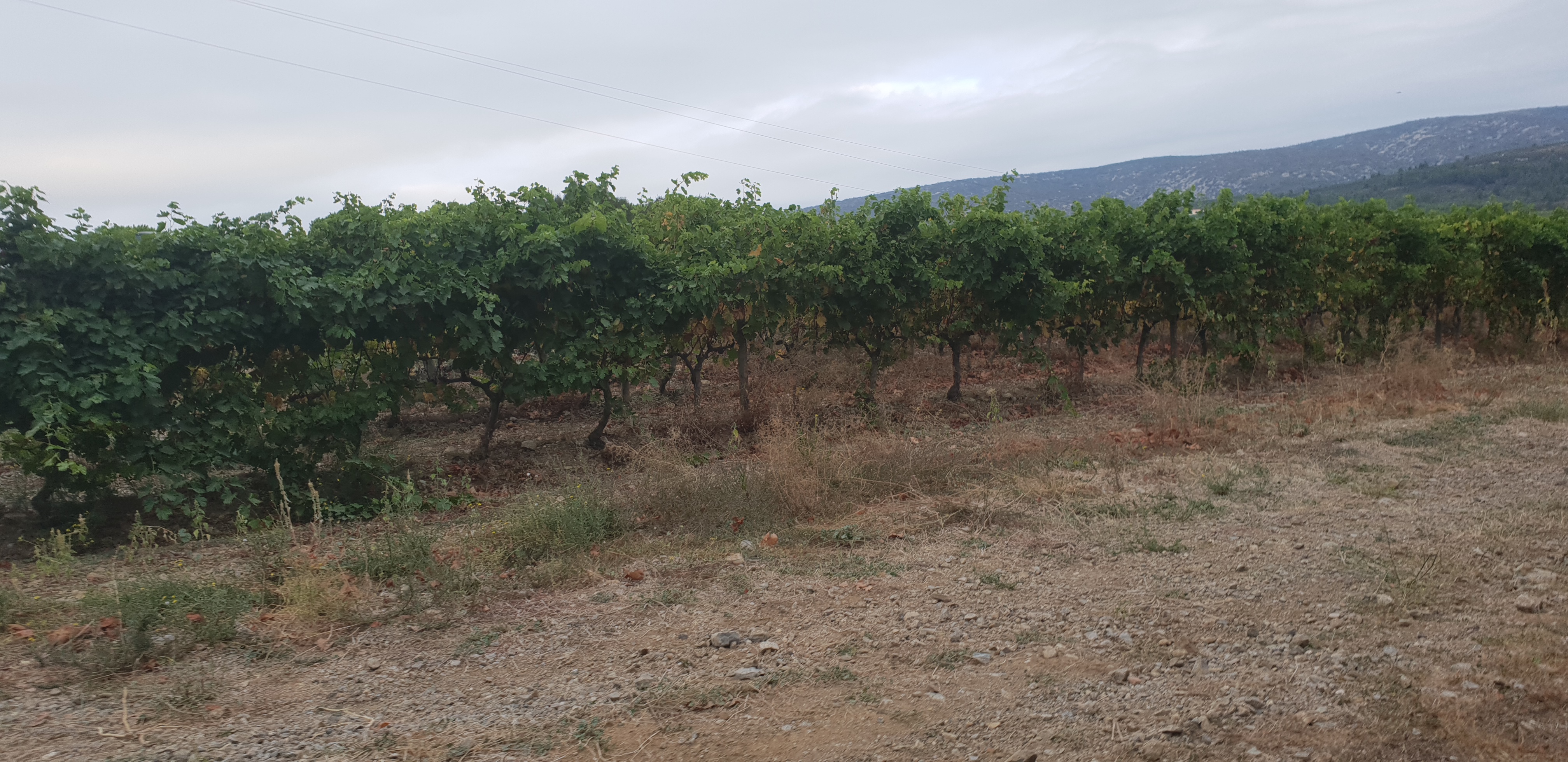 Photo n° 6 de l'avis de Nicolas.m fait le 30/09/2018 à 22:10