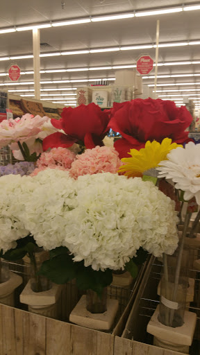 Craft Store «Hobby Lobby», reviews and photos, 205 S Point Blvd, McDonough, GA 30253, USA