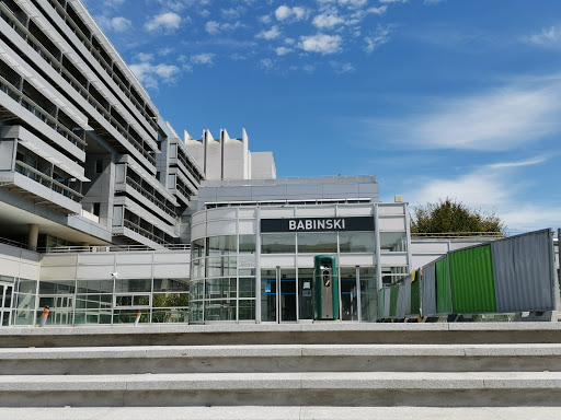 Hôpital Pitié-Salpêtrière - Building Babinski
