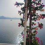 Photo n°18 de l'avis de Patrizia.i fait le 02/08/2021 à 04:45 sur le  Hotel Cetus à Cetara