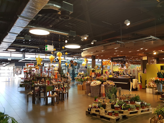 Rezensionen über Forum des Alpes in Sitten - Supermarkt