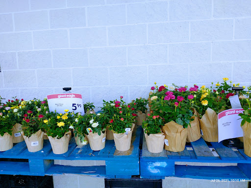 Supermarket «Giant Eagle Supermarket», reviews and photos, 2000 Penny Ln, Jeannette, PA 15644, USA