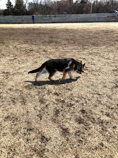 Park «Strachauer Park», reviews and photos, 6200 Beard Ave S, Edina, MN 55410, USA