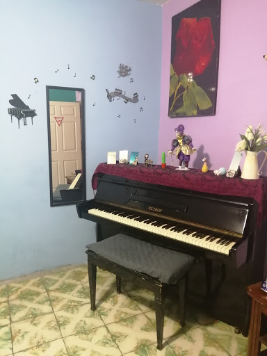 Clases de Piano particulares (Minerva)