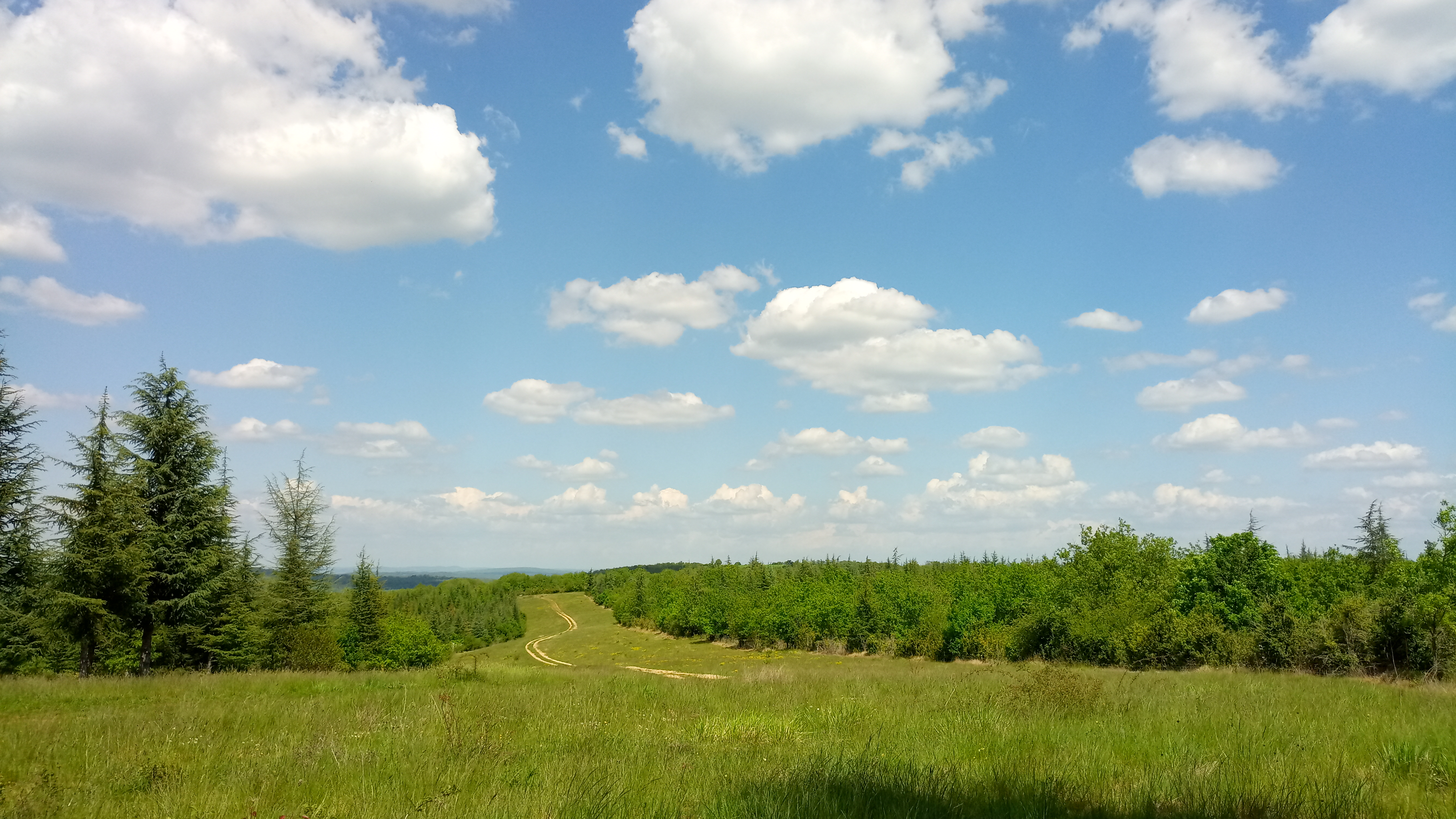 Photo n° 4 de l'avis de jean-françois.4 fait le 01/05/2022 à 15:48
