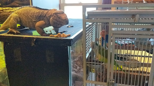 Pets & Things, 44825 Van Dyke, Utica, MI 48317, USA, 