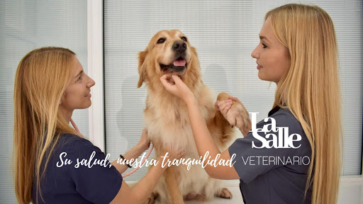 Veterinario La Salle en Santa Cruz de Tenerife