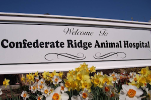 Confederate Ridge Animal Hospital image