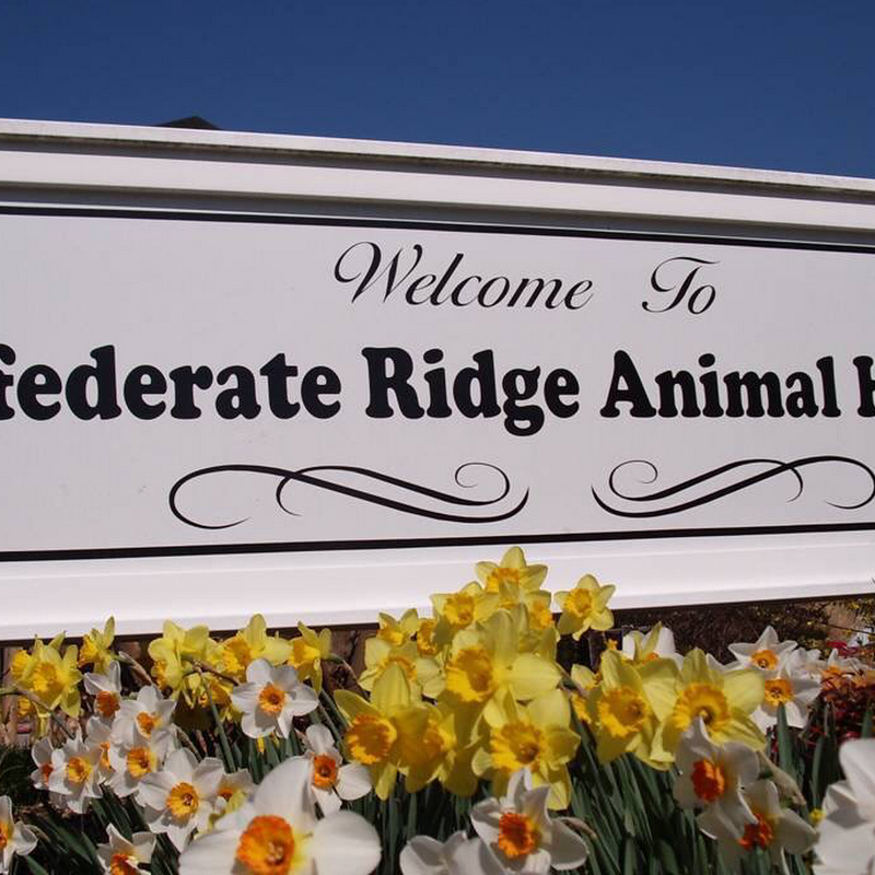 Confederate Ridge Animal Hospital