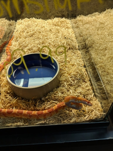 Pet Store «Wildside Pets», reviews and photos, 1042 N Higley Rd #105, Mesa, AZ 85205, USA