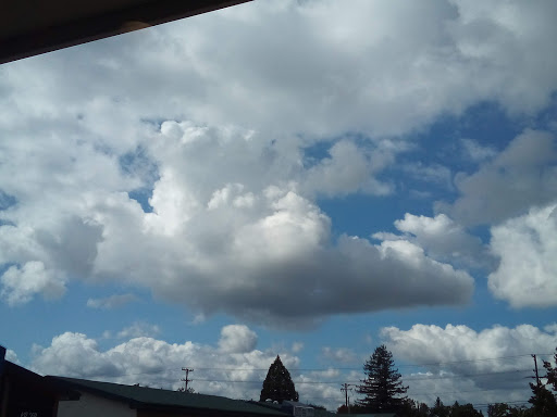 Gym «Planet Fitness», reviews and photos, 4223 Main St, Springfield, OR 97478, USA