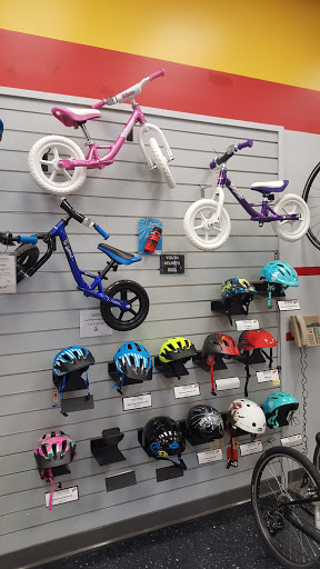 Bicycle Store «Chainwheel Drive», reviews and photos, 1770 Drew St, Clearwater, FL 33755, USA