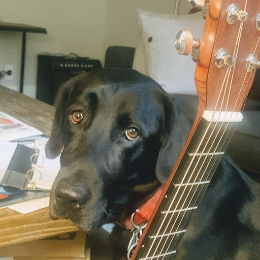 Insurance Agency «Jeff Summers - State Farm Insurance Agent», reviews and photos