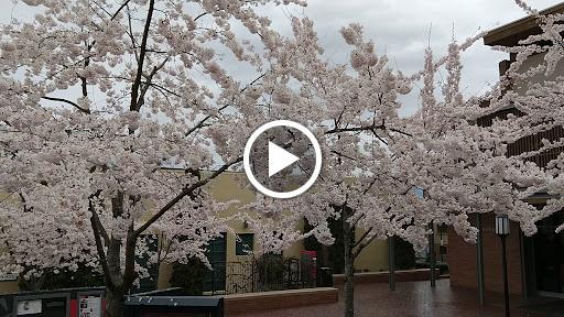 Performing Arts Theater «Oregon Shakespeare Festival», reviews and photos