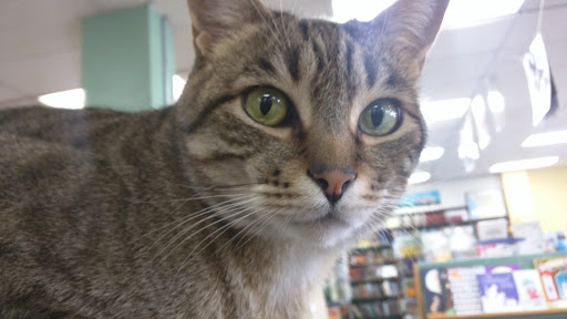 Book Store «Orca Books», reviews and photos, 509 4th Ave E, Olympia, WA 98501, USA