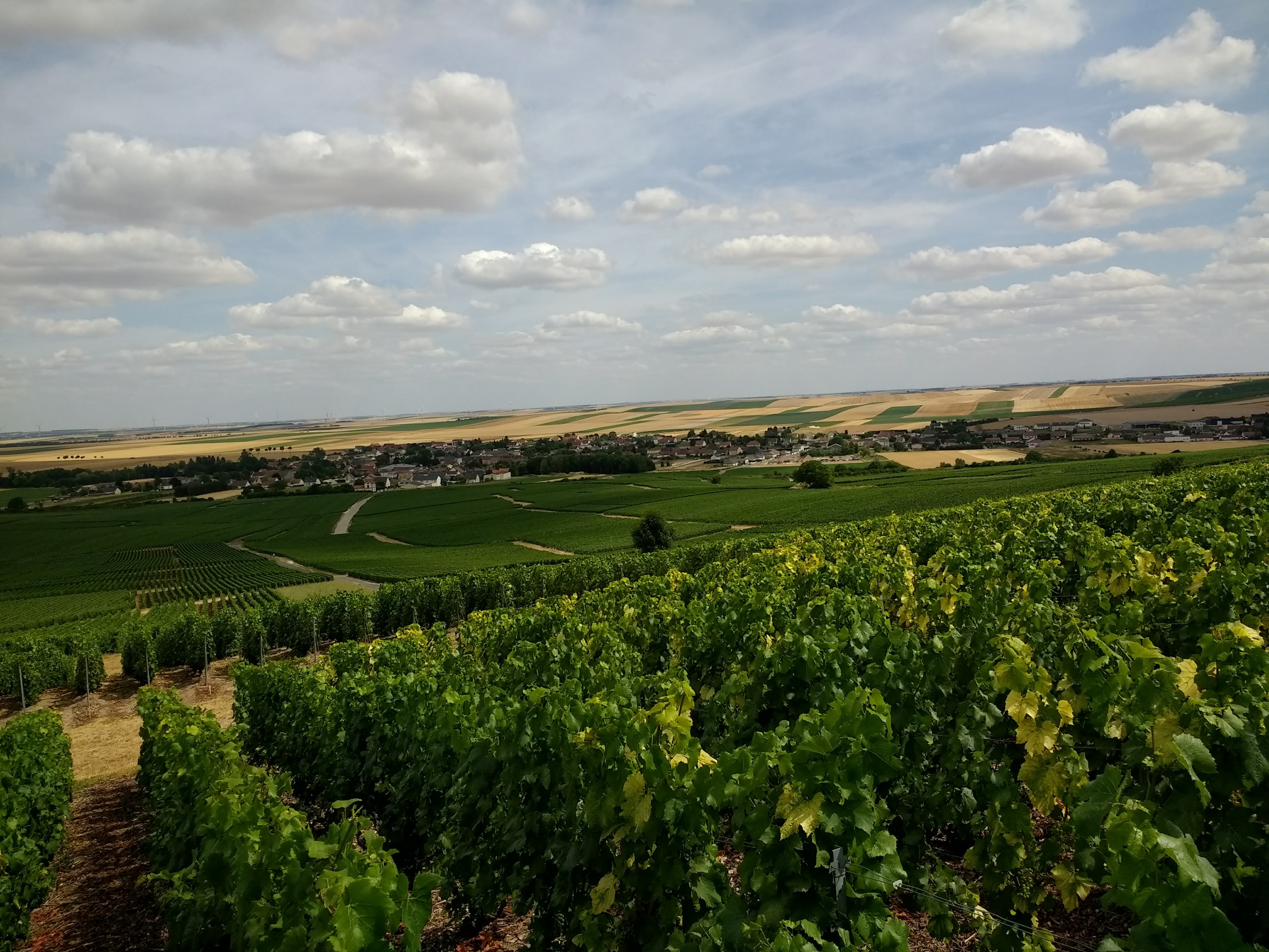 Photo n° 2 de l'avis de philippe.e fait le 21/07/2019 à 18:37