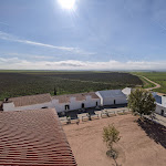 Photo n°4 de l'avis de Tung.g fait le 17/11/2022 à 13:44 sur le  Torre de Palma Wine Hotel, Monforte, a Member of Design Hotels à Vaiamonte