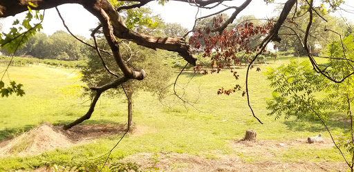 Winery «Treehouse Vineyards», reviews and photos, 301 Bay St, Monroe, NC 28112, USA