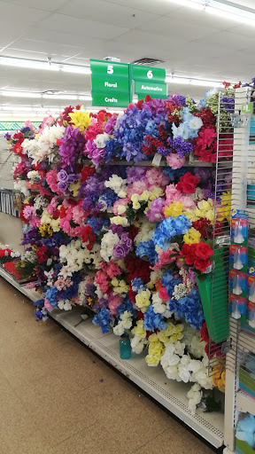 Dollar Store «Dollar Tree», reviews and photos, 330 Connecticut Ave #7, Norwalk, CT 06854, USA