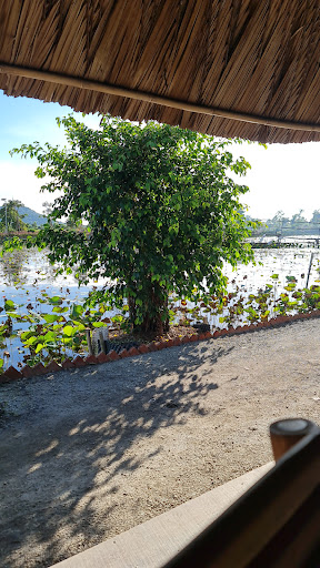 Top 20 cửa hàng speedo Huyện Hòn Đất Kiên Giang 2022