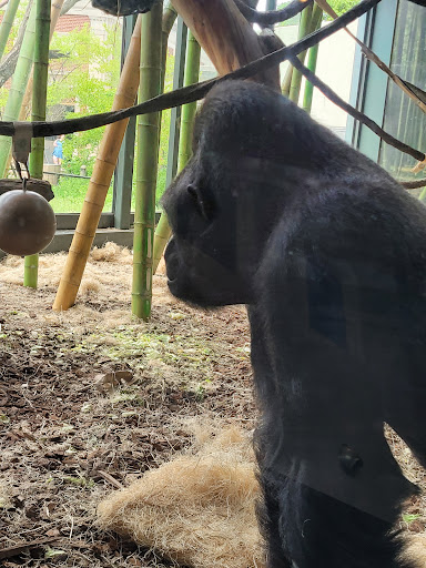 Zoo «Farm In The Zoo», reviews and photos, 1911 N Stockton Dr, Chicago, IL 60614, USA