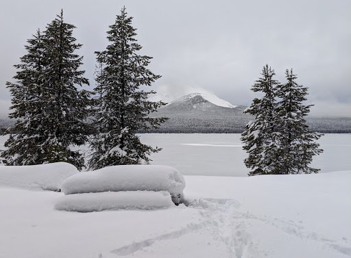 National Forest «Umpqua National Forest», reviews and photos, 1121 Houser Ct, Idleyld Park, OR 97447, USA
