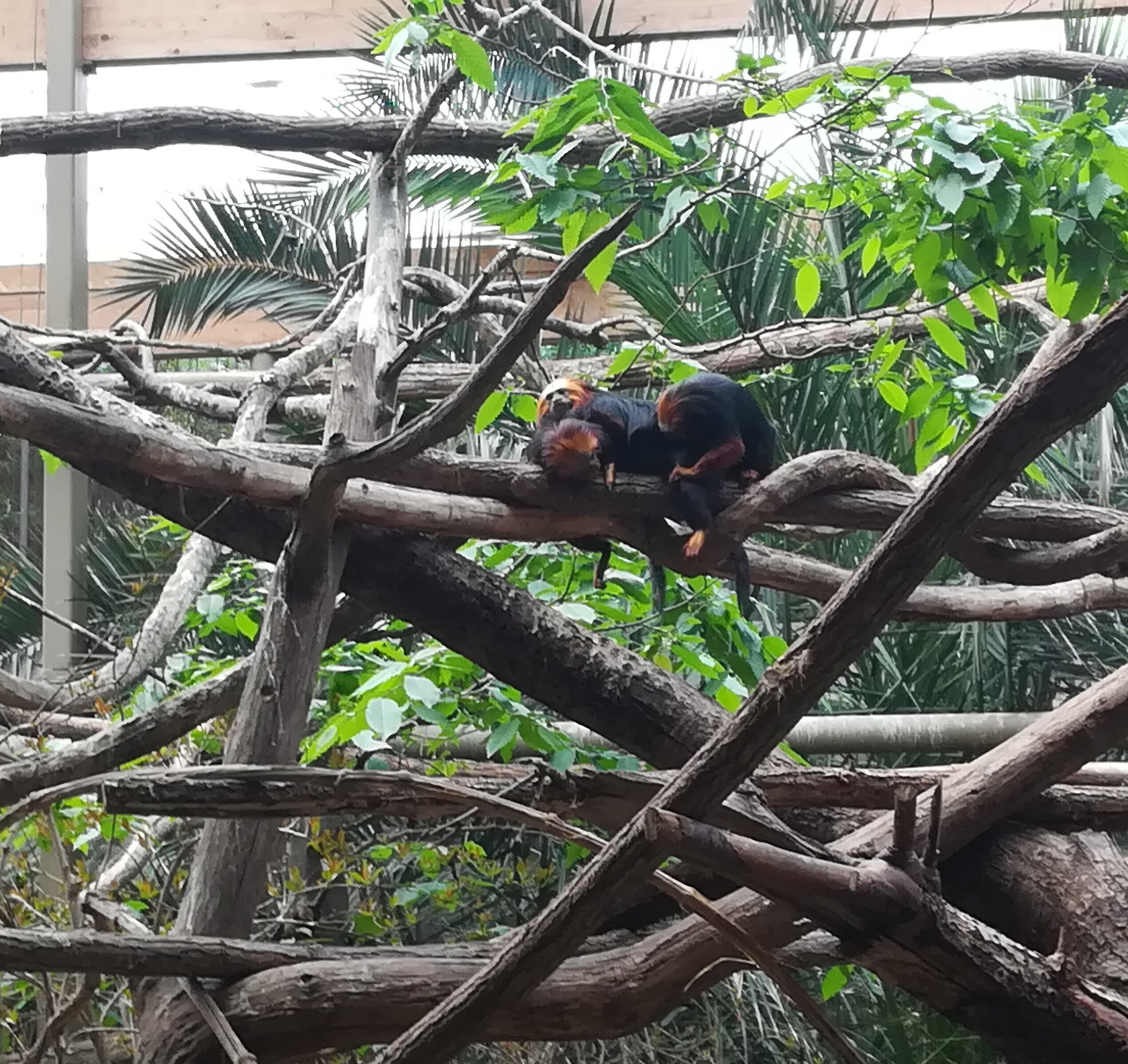 Photo n° 5 de l'avis de Sarah.L fait le 21/04/2018 à 18:44