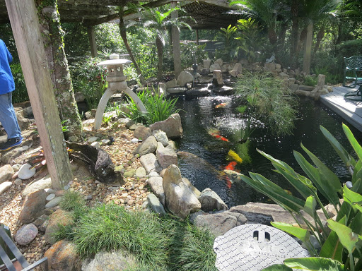 Pond contractor Athens