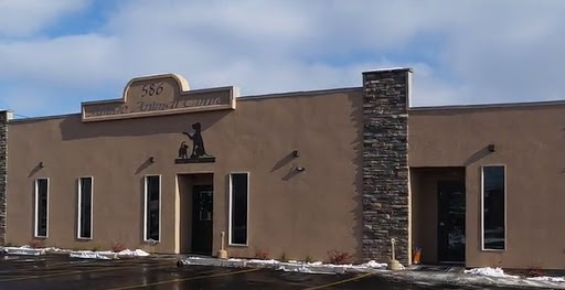 Amigo Animal Clinic image